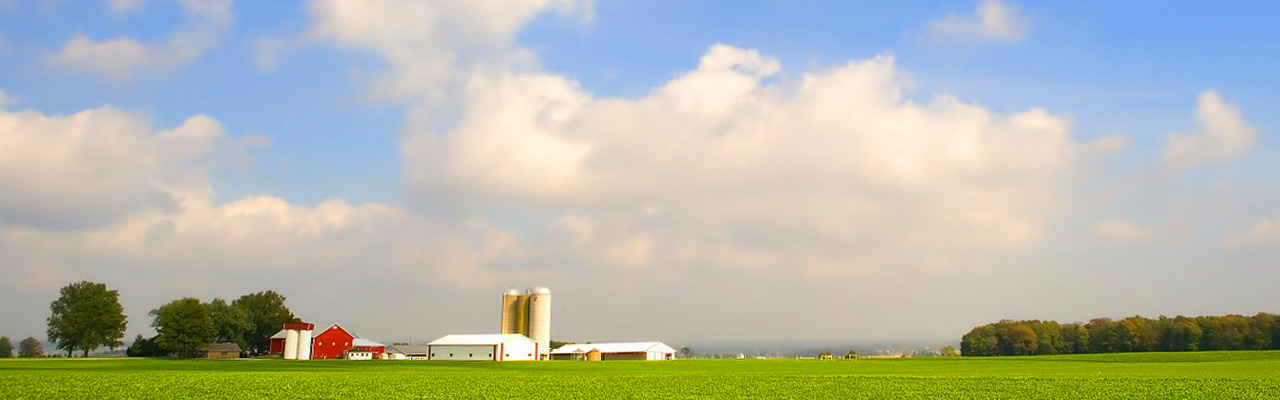 Farmer's land, home and property